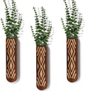 Set of 3 Semicircular Walnut Wall Planters – main product view