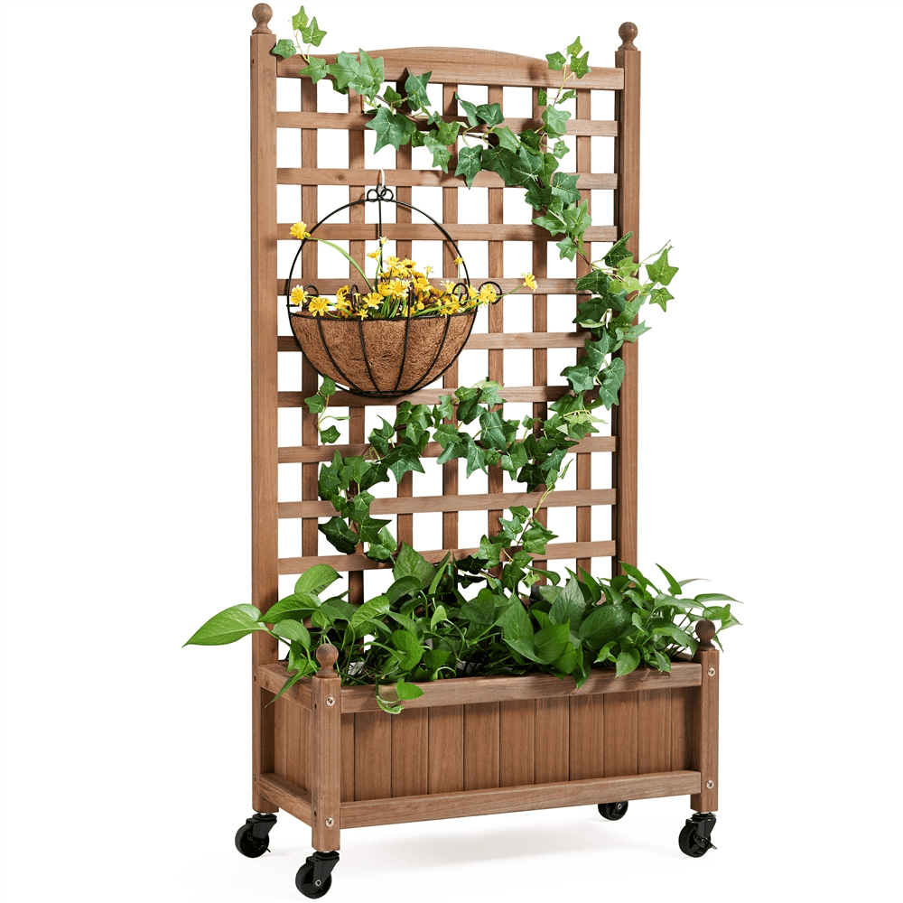 50-Inch Fir Wood Planter with Trellis, Dark Brown – main product view