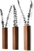 Set of 3 Rectangular Walnut Wall Planters – main product view