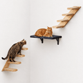 Wall-Mounted Cat Stairs and Shelf Set – main product view